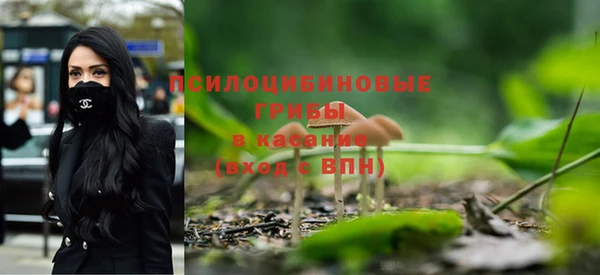 прущие крисы Алексин