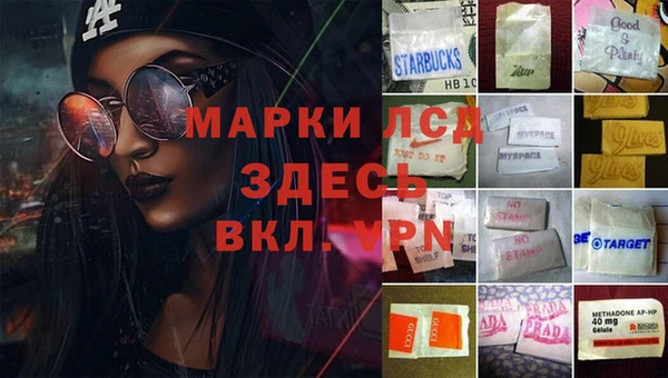 спиды Алексеевка