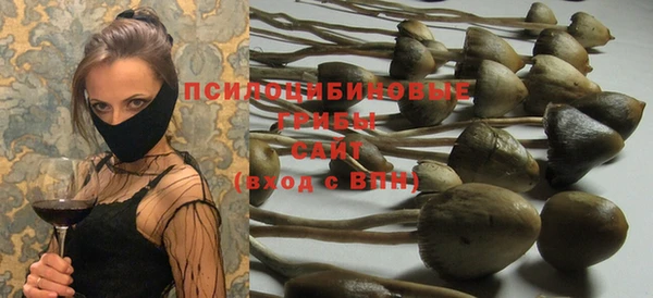 спиды Алексеевка